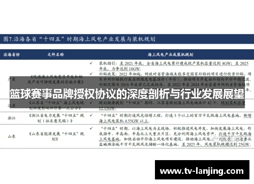 篮球赛事品牌授权协议的深度剖析与行业发展展望 篮球赛事品牌授权协议的深度剖析与行业发展展望