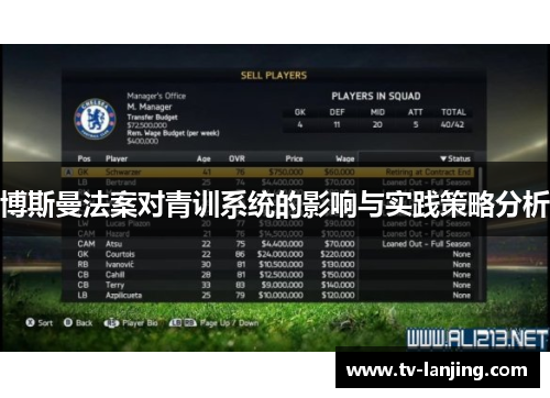 博斯曼法案对青训系统的影响与实践策略分析